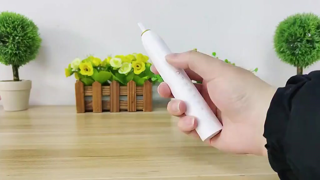 Escova de Dentes Elétrica Sônica Recarregável IPX7 com 6 Modos e 4 Refis – Longa Duração | Casa Vibe Decor